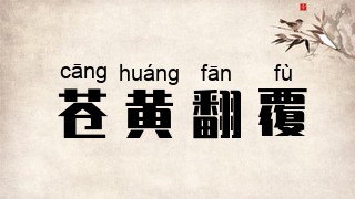 苍黄翻覆