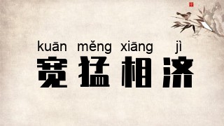 宽猛相济