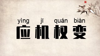 应机权变