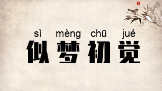 似梦初觉
