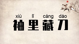 袖里藏刀