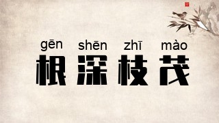 根深枝茂