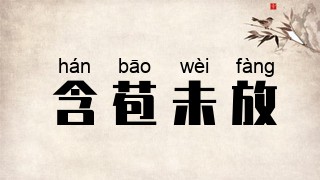 含苞未放