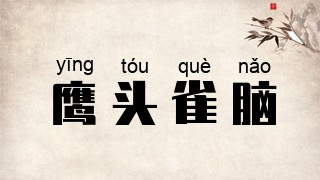 鹰头雀脑