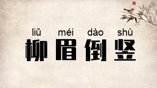 柳眉倒竖