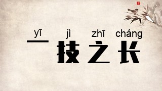 一技之长