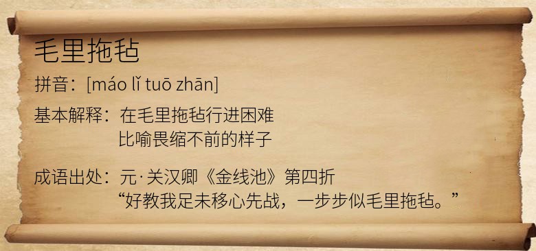 毛里拖毡