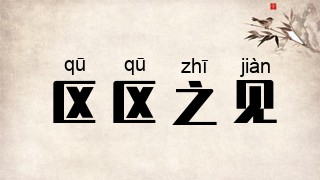 区区之见