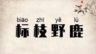 标枝野鹿