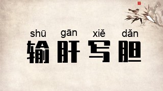 输肝写胆