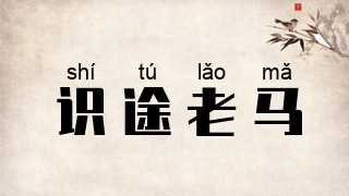 识途老马