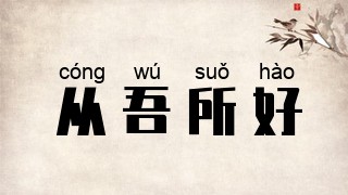 从吾所好