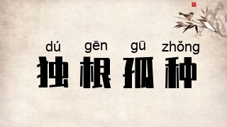 独根孤种
