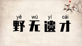 野无遗才