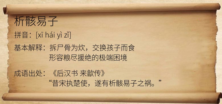 析骸易子