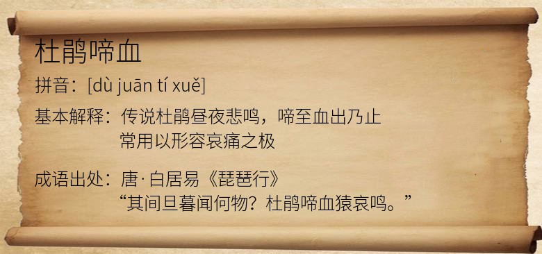 杜鹃啼血