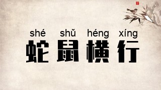 蛇鼠横行