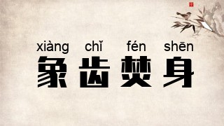 象齿焚身