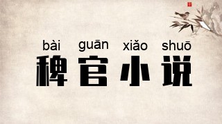 稗官小说