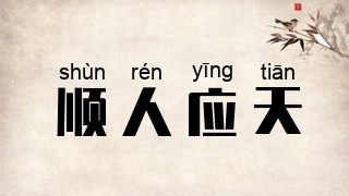 顺人应天