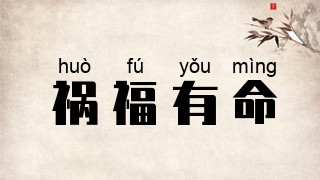 祸福有命