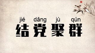 结党聚群