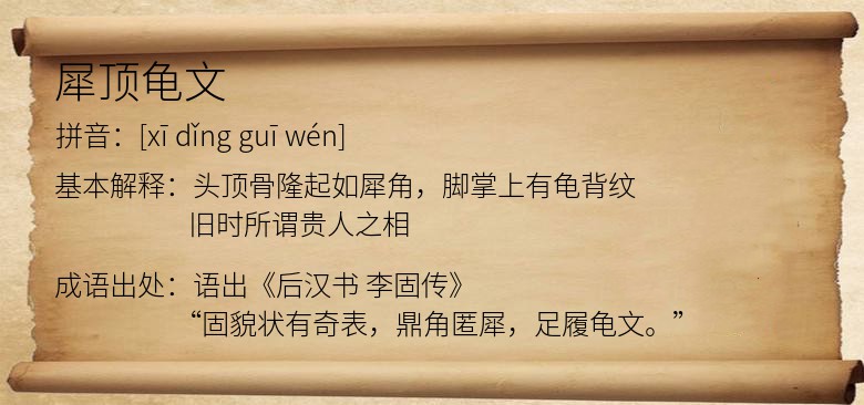 犀顶龟文