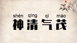 神清气茂