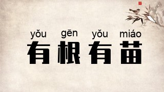 有根有苗