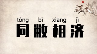 同敝相济
