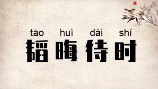 韬晦待时