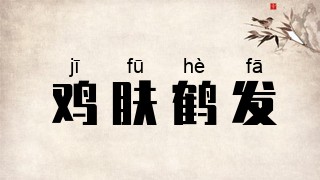 鸡肤鹤发