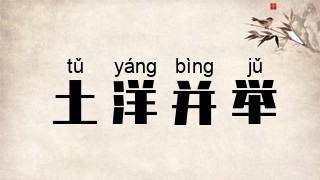 土洋并举