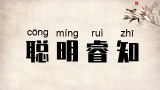 聪明睿知