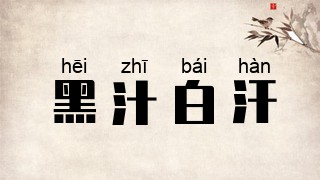 黑汁白汗