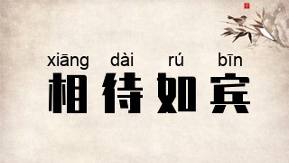 相待如宾
