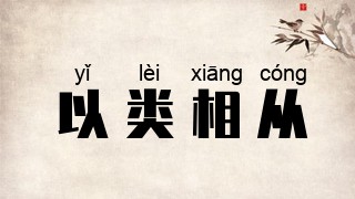 以类相从