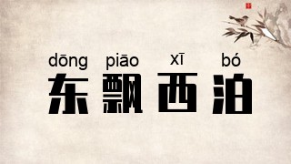东飘西泊