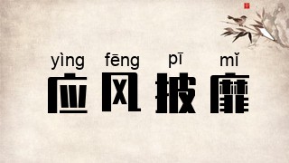 应风披靡