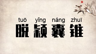 脱颖囊锥