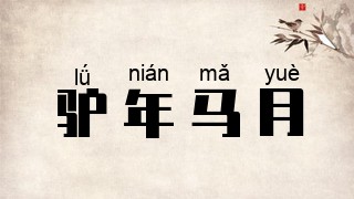 驴年马月