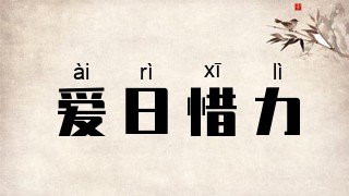 爱日惜力