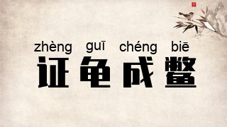 证龟成鳖
