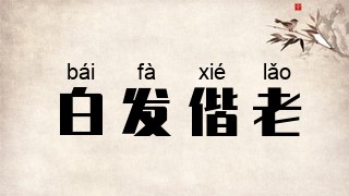 白发偕老