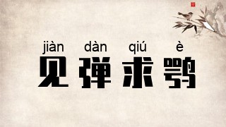 见弹求鹗