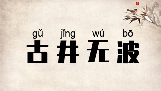 古井无波