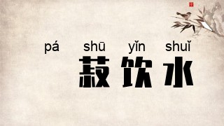 歠菽饮水