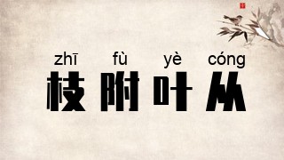 枝附叶从