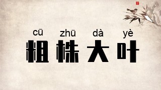 粗株大叶
