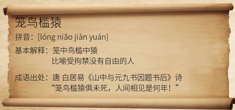 笼鸟槛猿